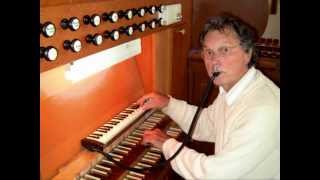 Gossec  Gavotte  Gerard van Reenen melodica amp organ [upl. by Lovering76]