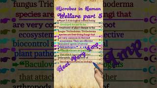 Microbes in Human Welfare Class 12 NCERT Part 5  Line by Line NEET 2024 [upl. by Ititrefen724]