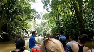 Rainforest River Safari in Tortuguero  Costa Rica [upl. by Anirba422]