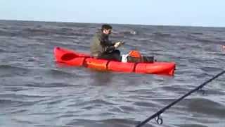 Pesca de Pez Elefante en Mar Chiquita  Kayak Fishing [upl. by Pansie]