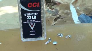 22 Stinger Ballistic Gel Test [upl. by Darci]