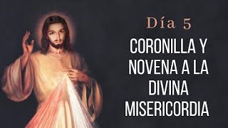 Coronilla y Día 5 Novena a la Divina Misericordia  Wilson Tamayo  Martes 2 de Abril [upl. by Nirred]