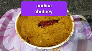 pudina chutney recipe mintrecipe pachadi [upl. by Durkin650]