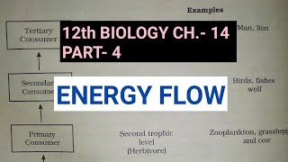 Class 12 biology chapter 14Part 4Energy FlowStudy with Farru [upl. by Egidius]