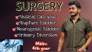 URINARY BLADDER  UROLOGY  Srb manual  Manipal  final year mbbs lecture [upl. by Haimorej]