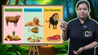 Herbivores Omnivores and Carnivores Animals  Eating Habits of Animals  Learn What Animals Eat [upl. by Veal]