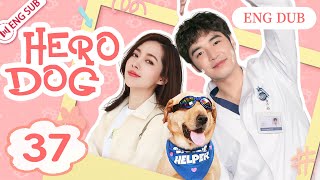 Eng Dub Hero Dog EP37 🐶Our love witnessed by Dog Qi💗 Jin Shijia Hayden Kuo YoYo English Channel [upl. by Steven]