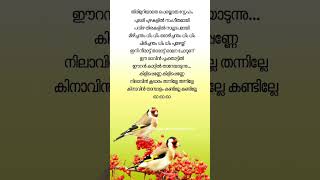 Kilippenne lyrics ❤️ ദോസ്ത് yesudas lyrics malayalamlyrical shortsfeed [upl. by Albur]