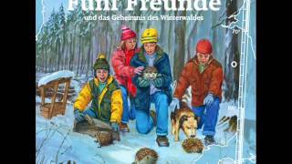 Die Fünf Freunde  Folge 93und das Geheimnis des Winterwaldes [upl. by Kling]