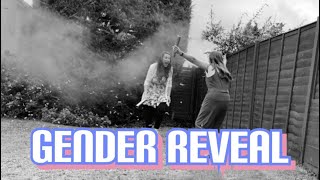 16 Week Gender Reveal  IVF Journey UK [upl. by Jorge254]