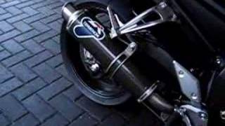 Termignoni fazer fz1 with sound [upl. by Taber]