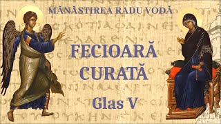 Fecioară curată glas 5  Mănăstirea Radu Vodă [upl. by Hajidahk388]