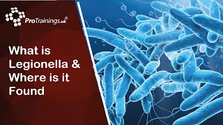 What is Legionella and Where is it Found [upl. by Tarazi135]