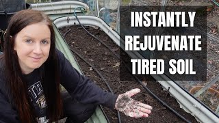 Rejuvenate TIRED Soil amp Compost  How to Reuse OLD Potting Soil [upl. by Charil637]