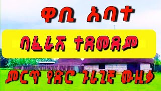 ባፈራሽ ተደመደም በዋቢ አባተ [upl. by Sinnod]