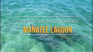 Manatee Lagoon  Only in The Palm Beaches [upl. by Ahsekin886]