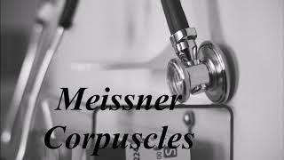 Learn how to pronounce Meissner corpuscles [upl. by Alamap]