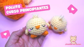 POLLITO  2 CLASE Armado y final Amigurumis para principiantes [upl. by Ecirtaeb]