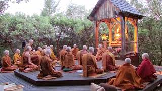 Pali Chanting In The Abhayagiri Buddhist Monastery  Theravada Buddhism [upl. by Gregor]