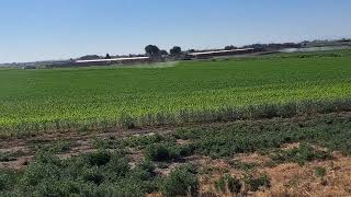 large agricultural drone spraying a field [upl. by Suoivatra]