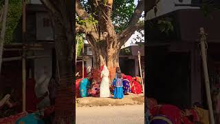 Tree treated as a god in India hindutemple agrico agro [upl. by Meekah]