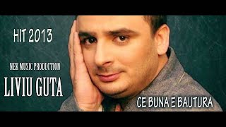 LIVIU GUTA CE BUNA E BAUTURA SUPER HIT 2013 [upl. by Euginimod]