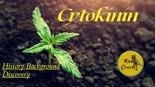 Cytokinin Plant Hormone  Historical Background  Discovery of Cytokinin  Chemical Nature [upl. by Frantz]