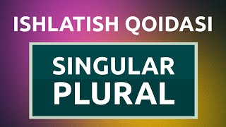 Plural and Singular Nouns  1dars  Beginner Level [upl. by Neerod]