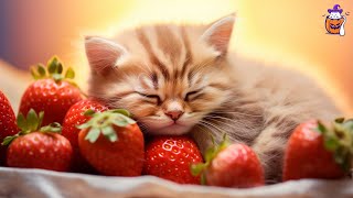 EXTREMELY Soothing Cat Therapy Music  Relax Your Cat Cat Music  Sleepy Cat [upl. by Eimyaj]