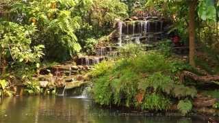 Garden Waterfall Screensaver for Windows 10 or MP4 Video in Full HD [upl. by Neenahs]