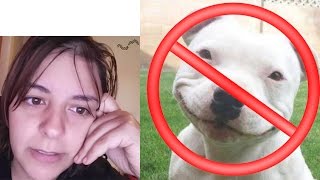 VLOG DOG BANNING IN MONTREAL  IM EMBARRASSED BY MY CITY cats and dogs permits  Pets in the news [upl. by Ligetti115]