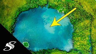 Catching TARPON amp Snook in EPIC Tiny Freshwater Ponds [upl. by Libyc]