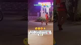 World best loyal animals ❤️🤩funny rahulpets funnypets doglover shortsfeed [upl. by Felizio]