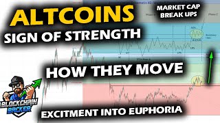 Knocking on the Door of SIGN OF STRENGTH in Altcoin Market as Bitcoin Price Chart Stalls [upl. by Sachsse]