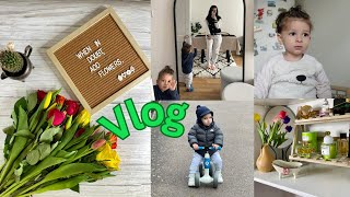 VLOG  Me derguan lule Erdhi pasqyra Ca ndodhi qe u merzita [upl. by Hsirrap]