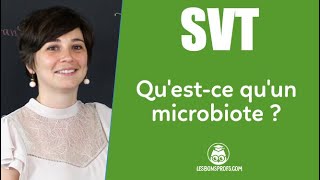 Questce quun microbiote   SVT  Collège  Les Bons Profs [upl. by Innavoeg]