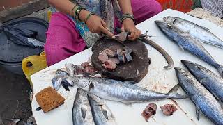 bhayandar fish market  भायंदर फिश मार्केट [upl. by Tracay]