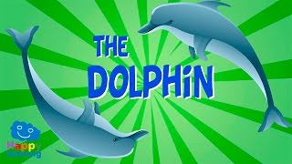 Exploring the Marvelous Characteristics of Dolphins Kids Educational Adventure  Tinkle Animation [upl. by Ahsenrac246]