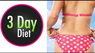 3 Day Diet Plan Three Day Diet Good or Bad [upl. by Thurnau386]