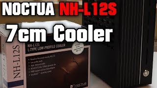 BEST Cooler for Small Form Factor Noctua NHL12S EN [upl. by Ais]