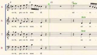 Mozart K 220 Sparrow Mass TENOR part 2 [upl. by Francklin]