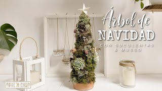 Árbol de Navidad con Suculentas y Musgo [upl. by Eytteb]