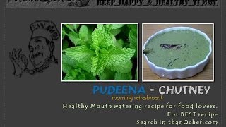 Pudina Chutney recipe Indian Style [upl. by Angelita812]