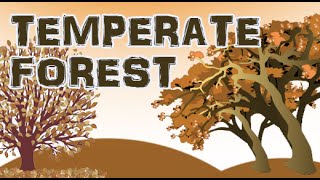 Four season forest  Discover Temperate Forest  Part 1 Animated [upl. by Fanny184]