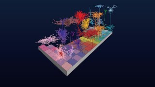 Cell Type Taxonomies A to Z What is a Taxonomy [upl. by Archambault]