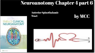 Neuroanatomy Chapter 4 part 6Anterior Spinothalamic TractCrude touch pathwayspinal lemniscus [upl. by Alya262]