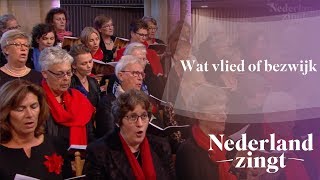 Wat vlied of bezwijk  Nederland Zingt [upl. by Dianuj]