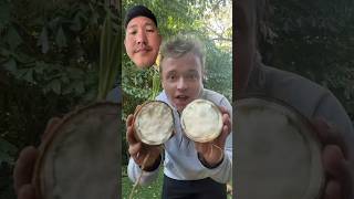 Sprouted Coconut Challenge foodhacks hacktest coconut sproutedcoconut babycoconut [upl. by Annoid]