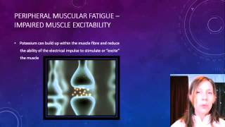 Yr 12 Fatigue Mechanisms [upl. by O'Brien]