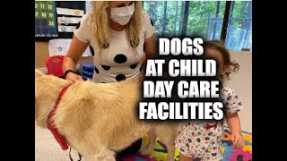 Dogs At Child Day Care Facilities [upl. by Hsu]